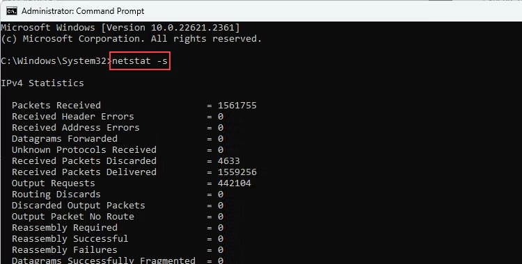 Lệnh netstat -s