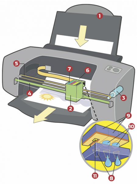 Giải đáp về mực in