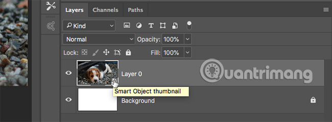 Smart object