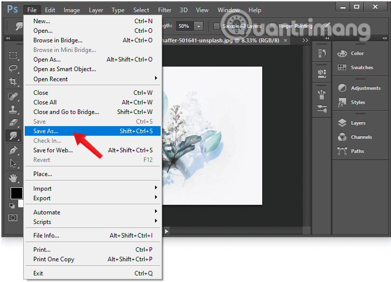 Click Save As trong File/Photoshop