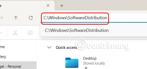 Thư mục SoftwareDistribution Windows 11