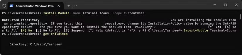 Module PowerShell Terminal-Icons 