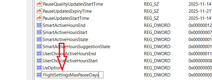 Tạo giá trị FlightSettingsMaxPauseDays